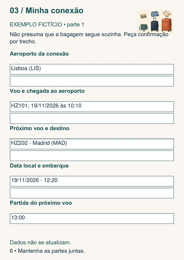 Modelo Minha conexão do Organizador, com exemplo fictício de preenchimento